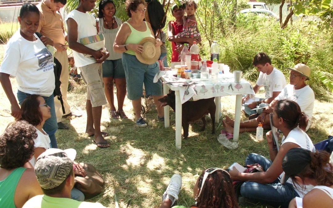 Projeto Semeando Agroecologia