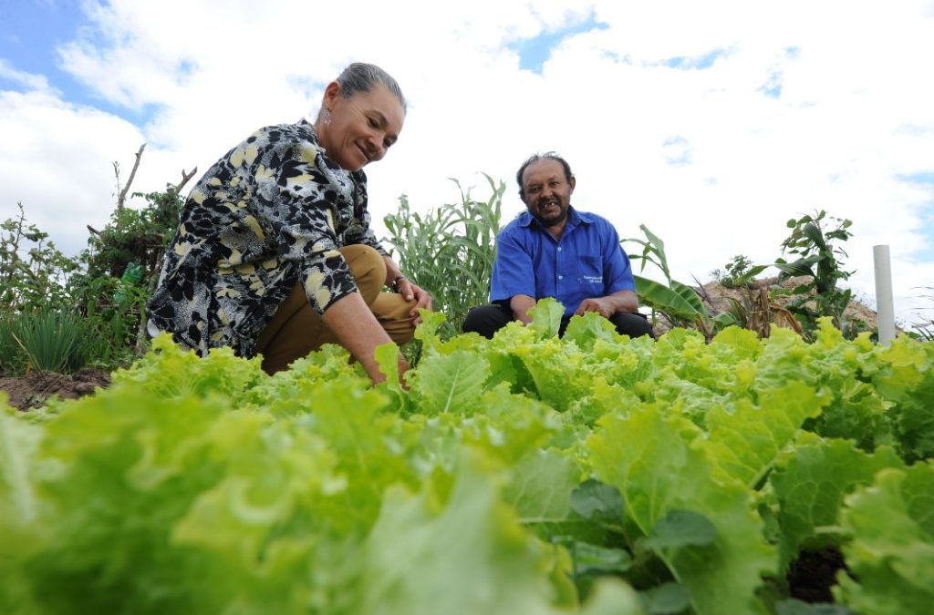 Texto de referência do campo agroecológico para a Conferência Nacional de Ater