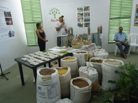Programa de Distribuição das Sementes da Paixão é lançado pelo Polo da Borborema