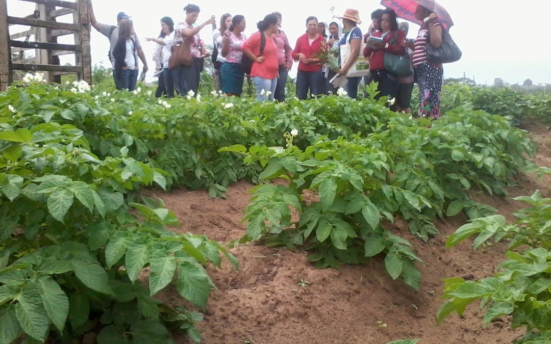 Encontro reúne em Lagoa Seca Agricultoras e Agricultores Experimentadores do Polo da Borborema