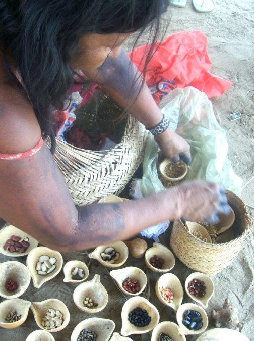 Articulação Nacional de Agroecologia lança série de cadernos sobre experiências agroecológicas de conservação e uso de sementes locais