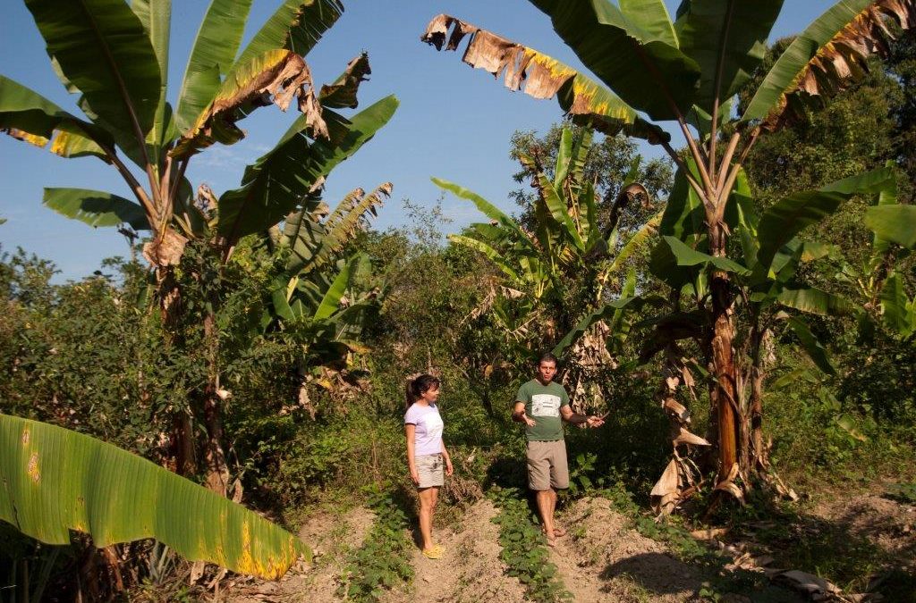 Em busca de novos caminhos para produzir e consumir alimentos: Agroecologia apresenta respostas concretas para os desafios contemporâneos