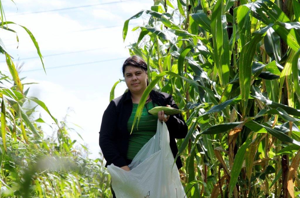 Encontro reunirá em Lagoa Seca Agricultoras-experimentadoras de diversas regiões da Paraíba