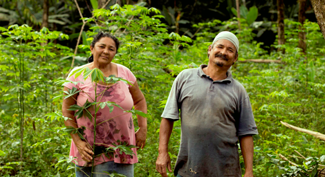 I ENAU: quanto vale o trabalho na agroecologia?