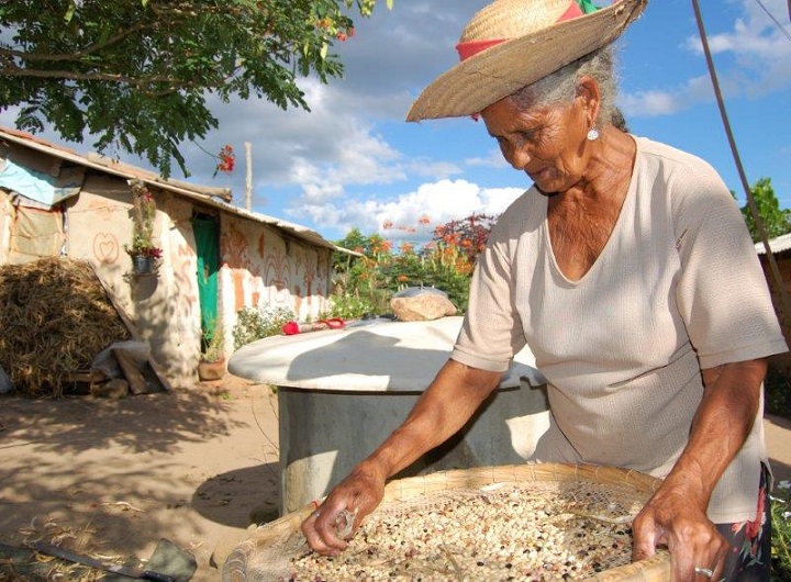 Articulação do Semiárido Paraibano realizará VI Festa Estadual das Sementes da Paixão na Semana Mundial da Alimentação