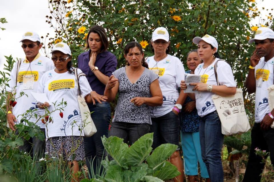Articulação do Semiárido Paraibano realizará Encontro Estadual de Agricultores-Experimentadores em Boqueirão-PB