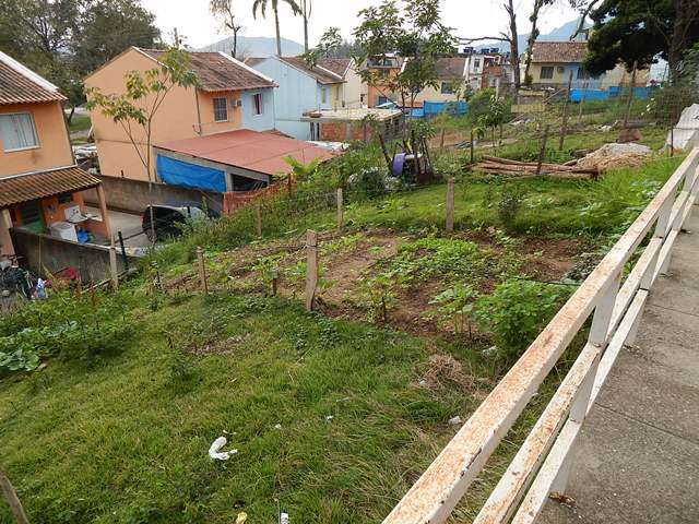 Embrapa inicia estudo para linha de pesquisa em agricultura urbana