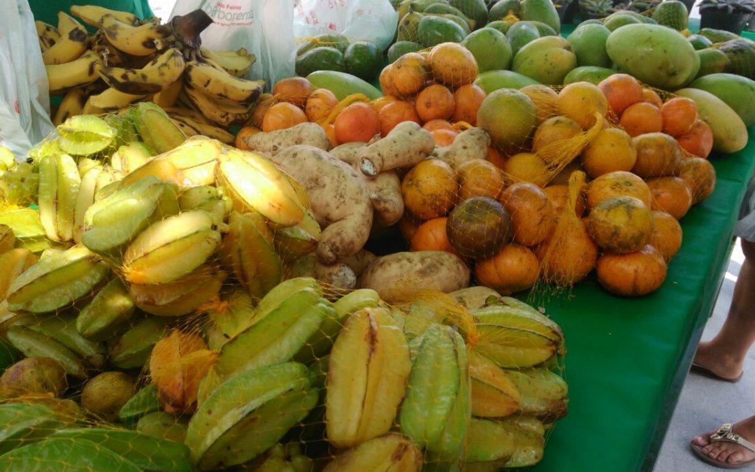 “A Reforma Agrária tem que nascer dentro de nós” afirma liderança na III Feira Agroecológica e Cultural da Juventude Camponesa do Polo da Borborema