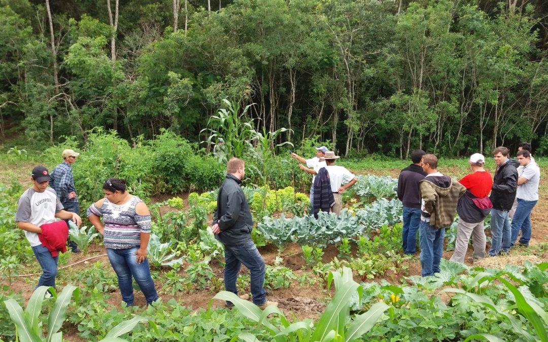 Coletivo Triunfo realiza encontro de avaliação