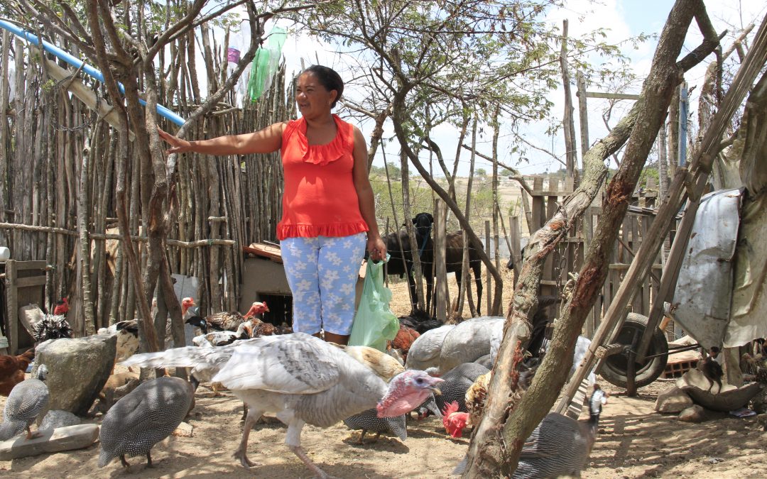 Mulheres e agroecologia, a luta é todo dia