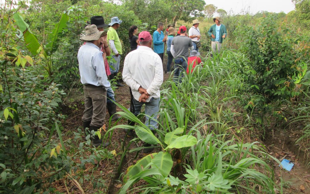 Aliança pela Agroecologia promove Seminário em Brasília