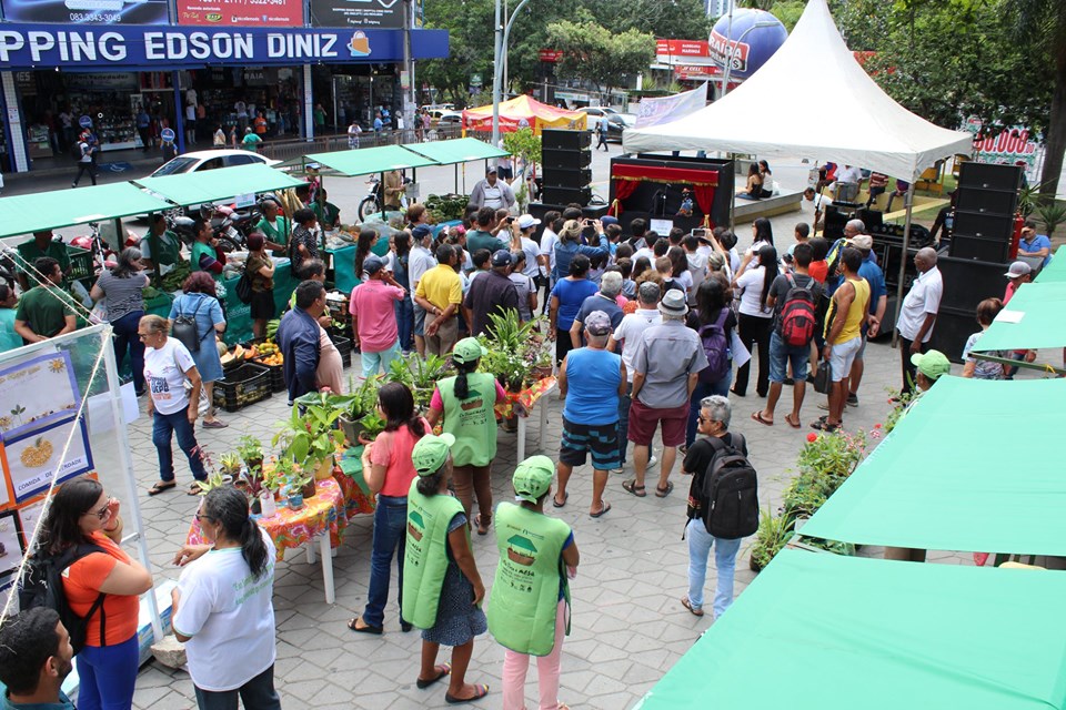 Feira Agroecológica alia atrações culturais com comercialização para celebrar o Dia Mundial da Alimentação em Campina Grande-PB