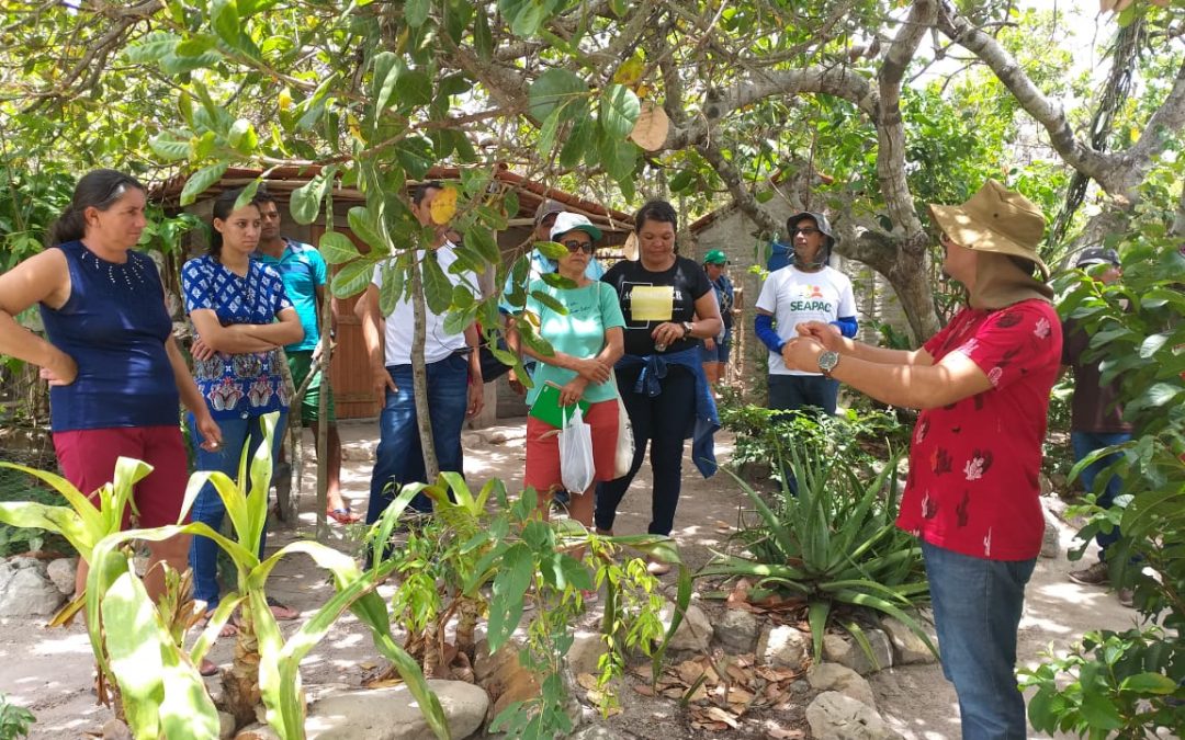 Intercâmbio entre Famílias da PB e do RN fortalece experiências de produção de alimentos e criação de animais