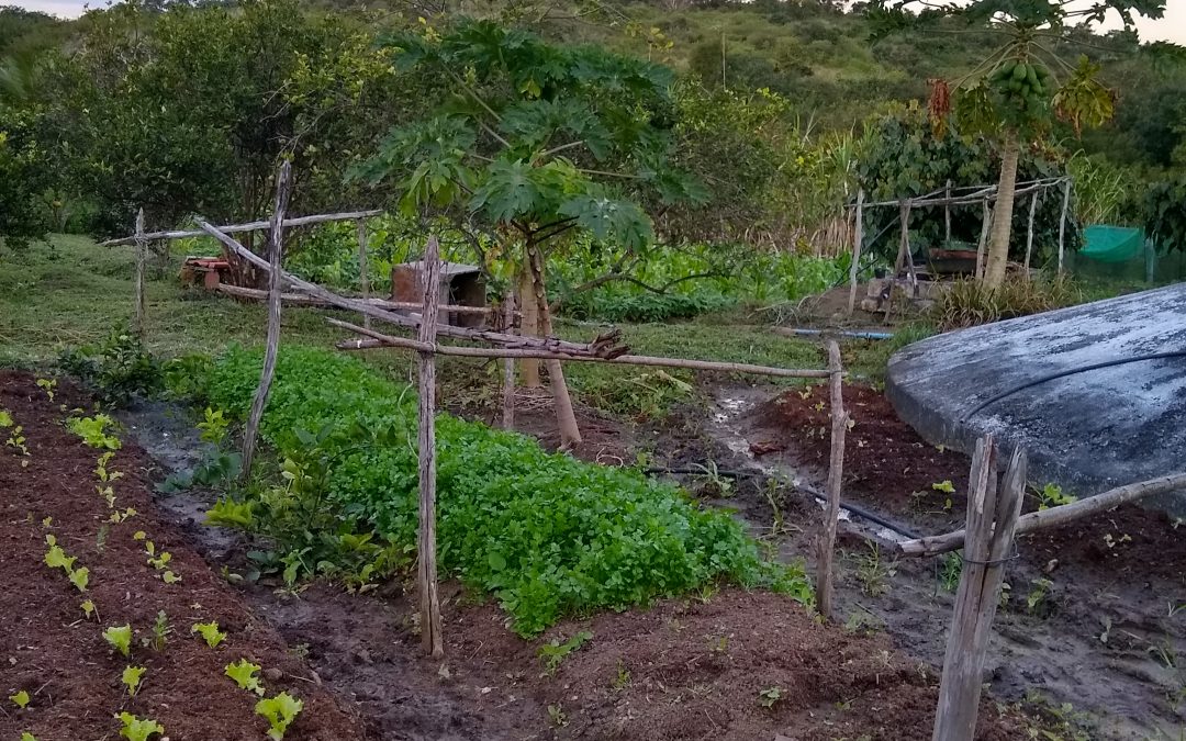 Doadores da ActionAid vão construir cisterna junto com moradores de comunidades rurais da Borborema 