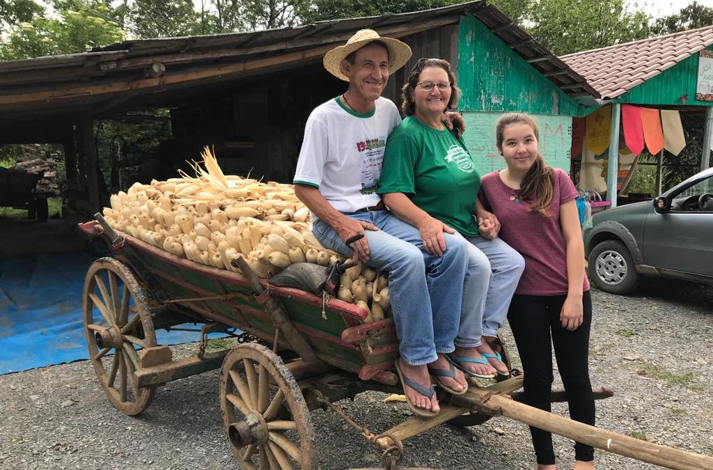 Trajetórias da conservação da agrobiodiversidade no Centro-Sul do Paraná: das sementes crioulas aos derivados de milho ecológico