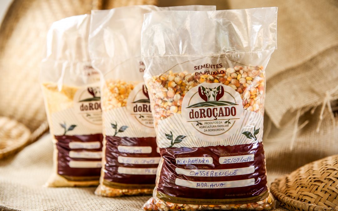 Armazenamento coletivo de sementes crioulas no Semiárido: histórias necessárias em tempos de pandemia e crise de abastecimento alimentar