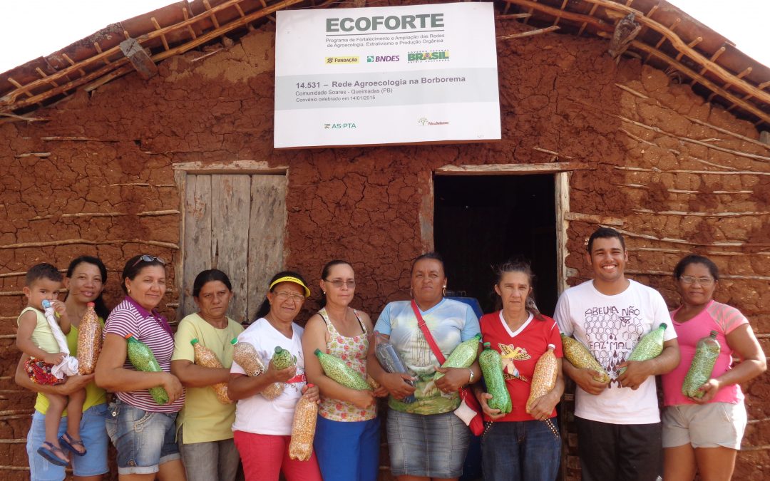 Redes de agroecologia: práticas e gestão comum nos territórios