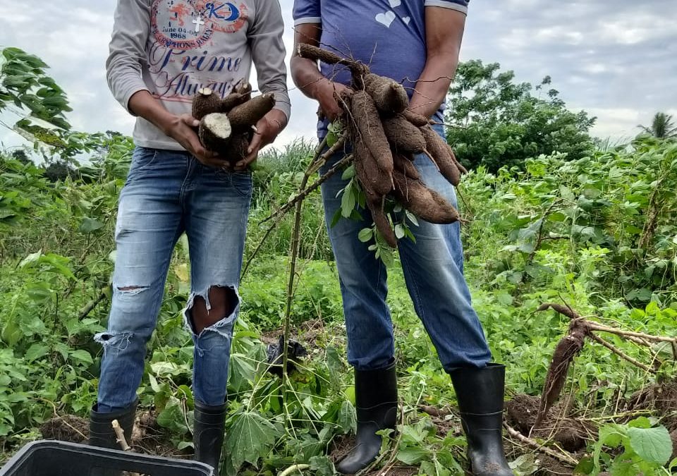 Agricultoras e agricultores familiares exigem recursos para Fomento à Atividade Agropecuária Familiar