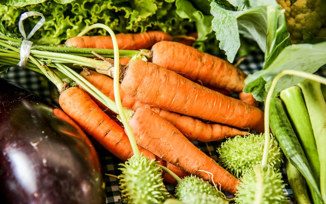 Quitandas da Borborema se consolidam como um imprescindível espaço de comercialização de alimentos agroecológicos nesta pandemia