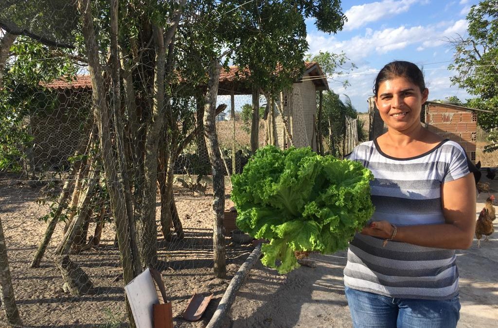 “Não imaginava que seria tão maravilhoso”, revela agricultora de Esperança sobre impacto do programa P1+2 Fomento na vida da família