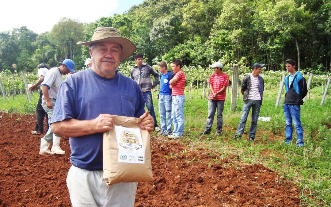 PAA Sementes e Projeto de lei Emergencial da Agricultura familiar