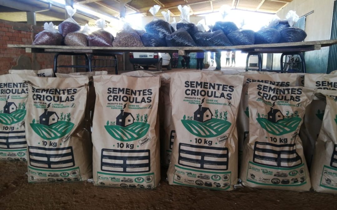 Para garantir a conservação da agrobiodiversidade no Paraná durante a pandemia, projeto prevê a circulação de sementes crioulas