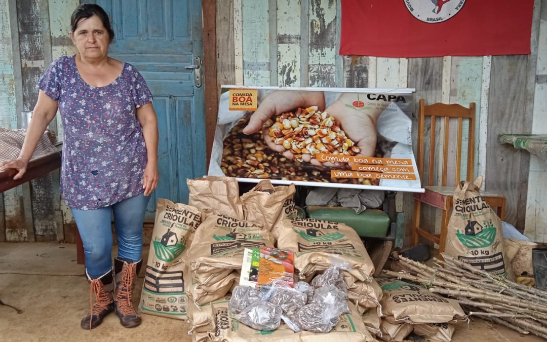 Projeto gera renda e garante alimentação saudável para mais de 3 mil agricultores no Paraná