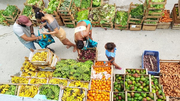 Solidariedade e Agroecologia: a agricultura na cidade se organiza para enfrentar a fome nas comunidades