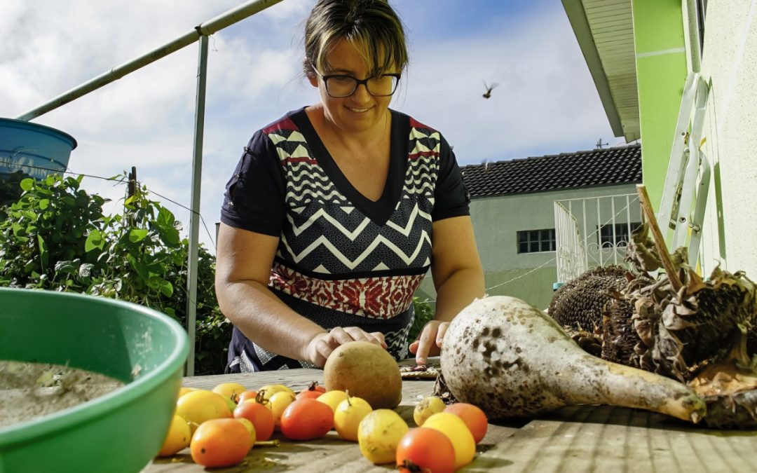 Mesmo diante da ausência de políticas de fomento dirigidas, agricultoras se destacam na produção de alimentos saudáveis 