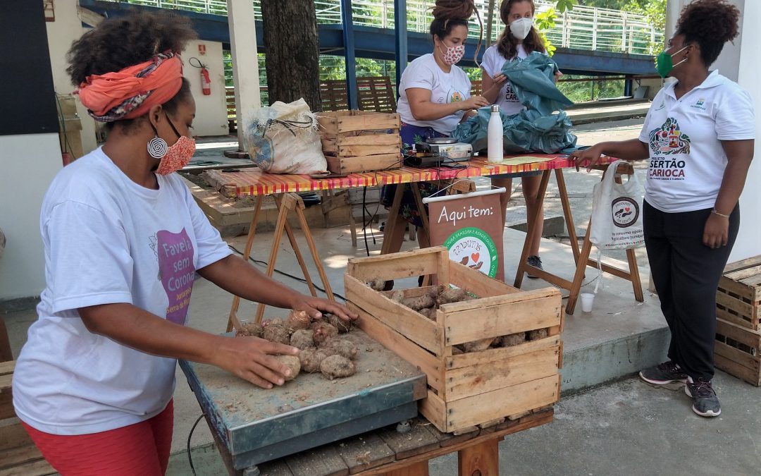 Solidariedade e Agroecologia – Cestas de produtos agroecológicos da agricultura urbana familiar são distribuídas na cidade do Rio de Janeiro 