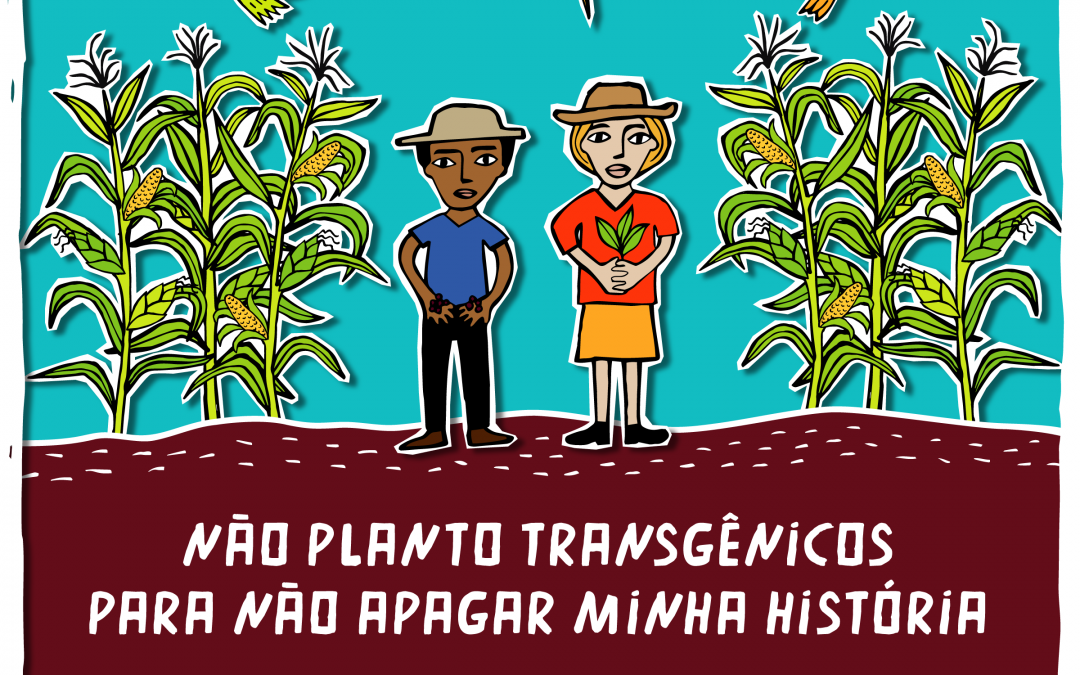 Sementes da Paixão: ação coletiva na defesa da agrobiodiversidade no território da Borborema, na Paraíba