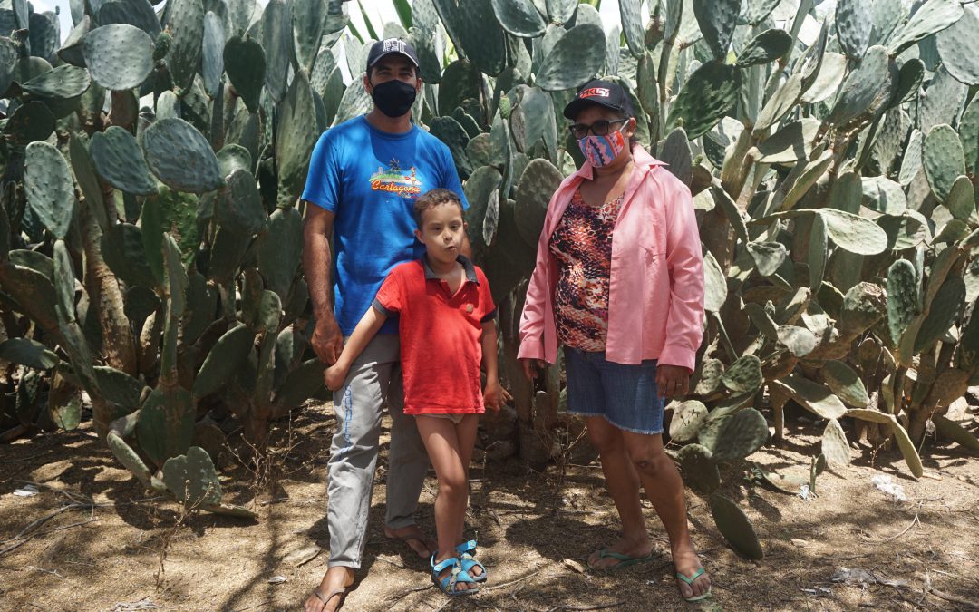 Com o ataque da cochonilha de carmim nas palmas, 2021 apresenta um desafio a mais para as famílias do Curimataú-PB