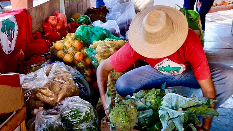 Memórias‌ ‌e‌ ‌saberes:‌ ‌“Agroecologia‌ ‌em‌ ‌rede”‌ ‌celebra‌ ‌20‌ ‌anos‌ ‌de‌ ‌histórias‌ ‌e experiências‌ ‌em‌ ‌agroecologia‌