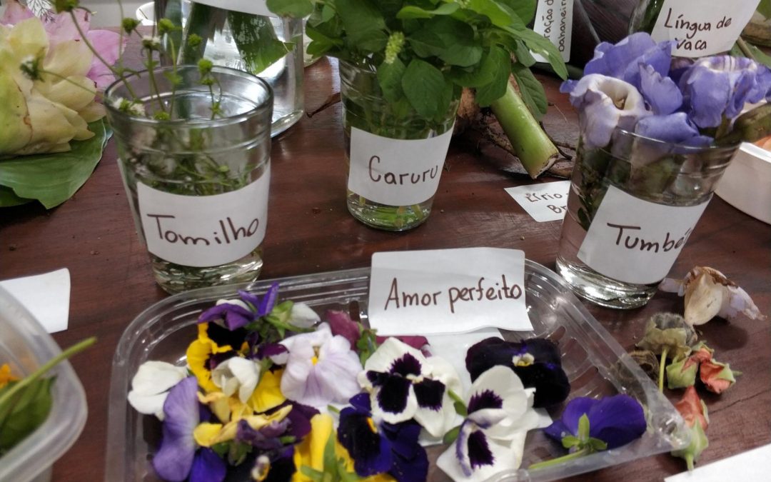 “É possível cultivar hortaliças, banana, milho e muito mais na cidade”, afirma doutora em engenharia florestal e professora da UFPR
