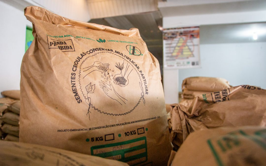 Em combate à fome, projeto distribuirá mais de 40 toneladas de sementes crioulas pelo Paraná