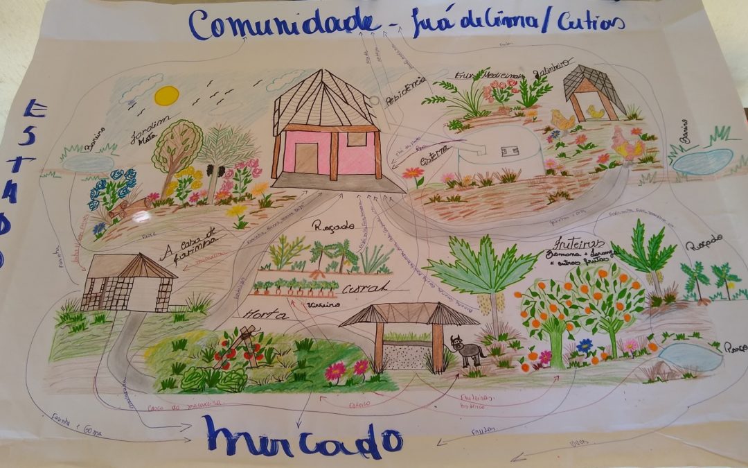 Um tempo de expansão do método LUME no apoio às transições agroecológicas nos territórios rurais