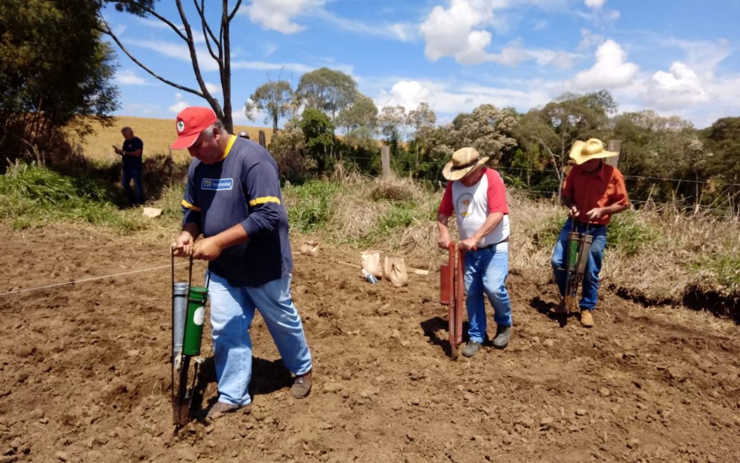 Campos de avaliação e multiplicação de soja em sistema orgânico são implementados no centro-sul do Paraná e planalto norte Catarinense